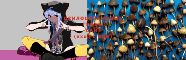 круглые Абаза