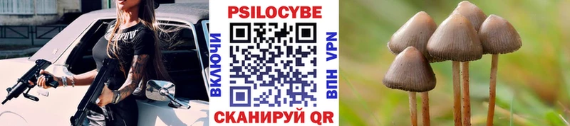 Псилоцибиновые грибы Psilocybine cubensis  Орёл 
